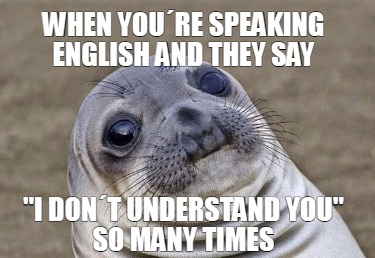 when-youre-speaking-english-and-they-say-i-dont-understand-you-so-many-times