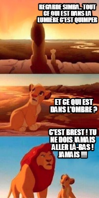 regarde-simba..-tout-ce-qui-est-dans-la-lumire-cest-quimper-cest-brest-tu-ne-doi