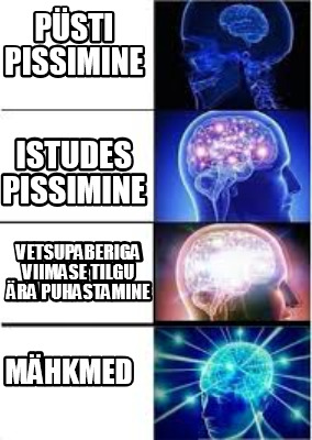 psti-pissimine-mhkmed-istudes-pissimine-vetsupaberiga-viimase-tilgu-ra-puhastami