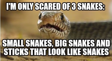 im-only-scared-of-3-snakes-small-snakes-big-snakes-and-sticks-that-look-like-sna