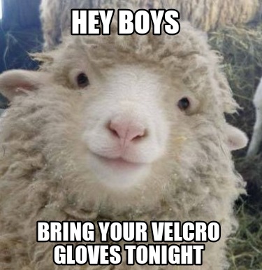 hey-boys-bring-your-velcro-gloves-tonight