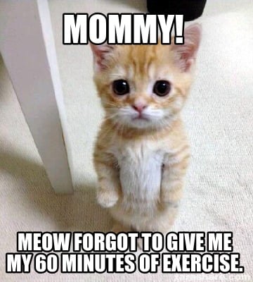 mommy-meow-forgot-to-give-me-my-60-minutes-of-exercise