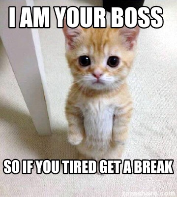 i-am-your-boss-so-if-you-tired-get-a-break