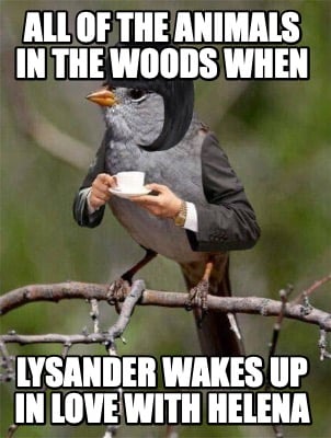all-of-the-animals-in-the-woods-when-lysander-wakes-up-in-love-with-helena