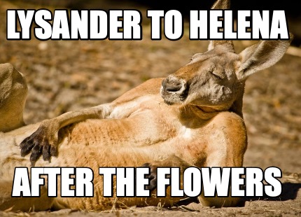 lysander-to-helena-after-the-flowers