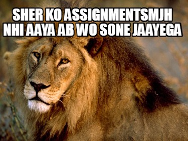 sher-ko-assignmentsmjh-nhi-aaya-ab-wo-sone-jaayega