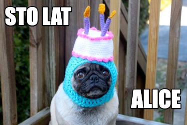 sto-lat-alice1