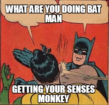 what-are-you-doing-bat-man-getting-your-senses-monkey
