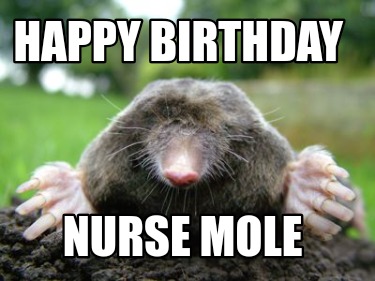 happy-birthday-nurse-mole