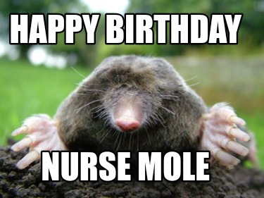 happy-birthday-nurse-mole4