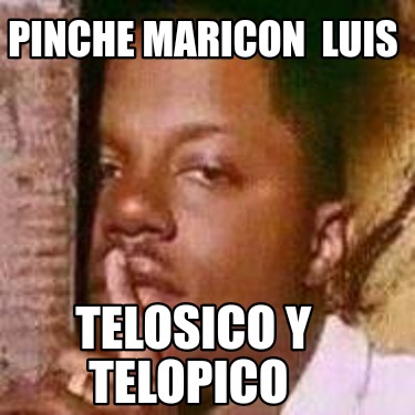 pinche-maricon-luis-telosico-y-telopico3