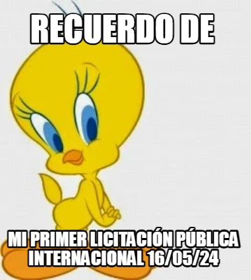 recuerdo-de-mi-primer-licitacin-pblica-internacional-160524