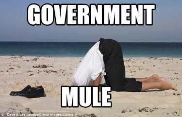 government-mule