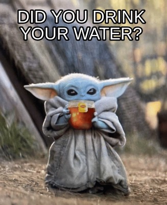 did-you-drink-your-water