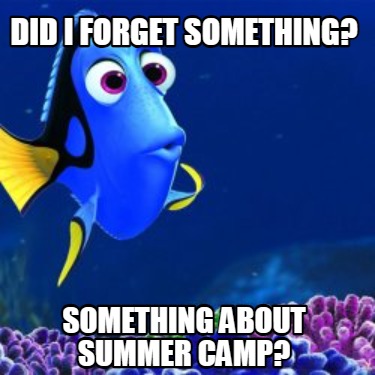 did-i-forget-something-something-about-summer-camp
