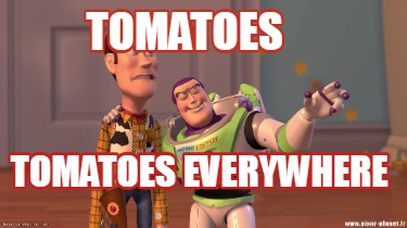 tomatoes-tomatoes-everywhere8
