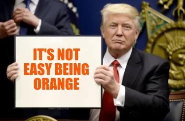 its-not-easy-being-orange