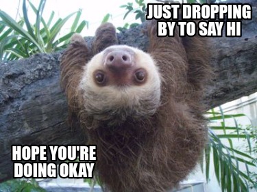 just-dropping-by-to-say-hi-hope-youre-doing-okay