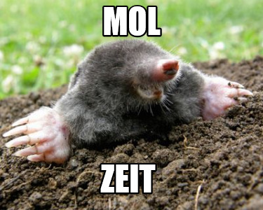 mol-zeit