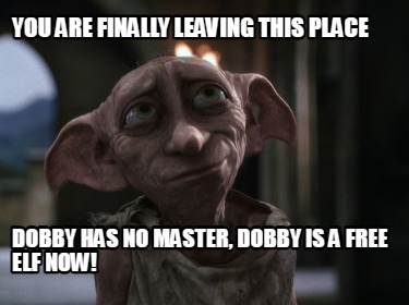 Meme Creator - Funny Youri Is a free elf now Meme Generator at ...