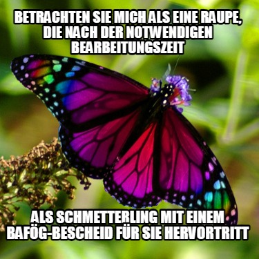 betrachten-sie-mich-als-eine-raupe-die-nach-der-notwendigen-bearbeitungszeit-als