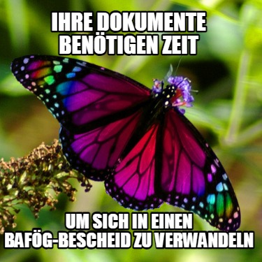 ihre-dokumente-bentigen-zeit-um-sich-in-einen-bafg-bescheid-zu-verwandeln