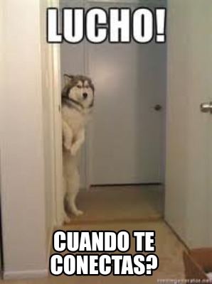 cuando-te-conectas
