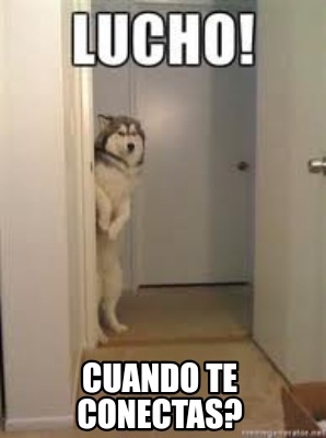 cuando-te-conectas3