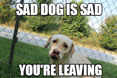 sad-dog-is-sad-youre-leaving