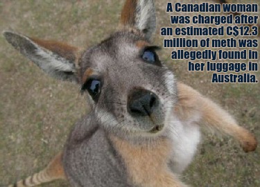 a-canadian-woman-was-charged-after-an-estimated-c12.3-million-of-meth-was-allege