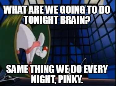 what-are-we-going-to-do-tonight-brain-same-thing-we-do-every-night-pinky
