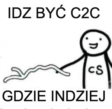 idz-by-c2c-gdzie-indziej