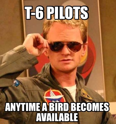 t-6-pilots-anytime-a-bird-becomes-available