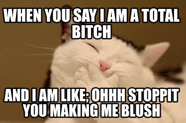 when-you-say-i-am-a-total-bitch-and-i-am-like-ohhh-stoppit-you-making-me-blush