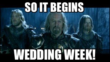 so-it-begins-wedding-week5