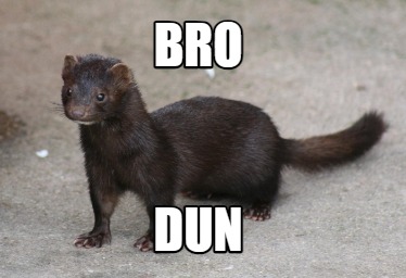 bro-dun