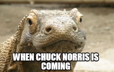 when-chuck-norris-is-coming