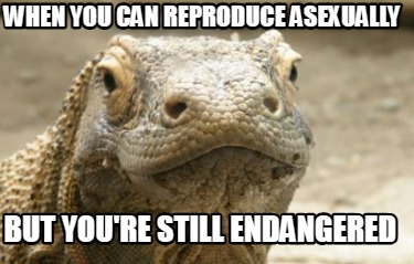 when-you-can-reproduce-asexually-but-youre-still-endangered