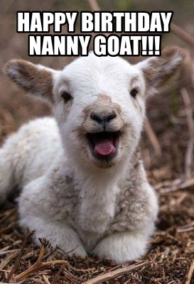 happy-birthday-nanny-goat