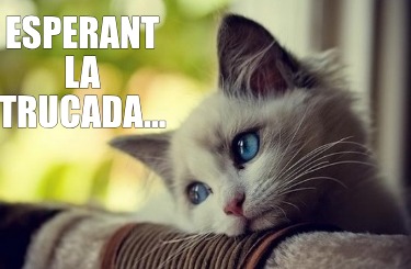 esperant-la-trucada