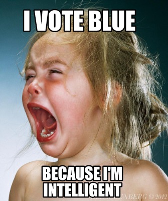 i-vote-blue-because-im-intelligent
