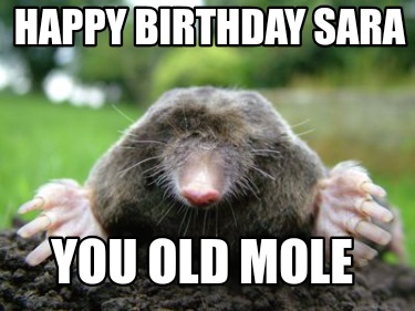 happy-birthday-sara-you-old-mole