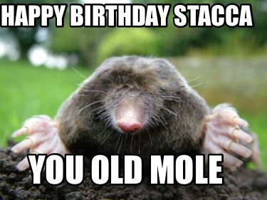 happy-birthday-stacca-you-old-mole