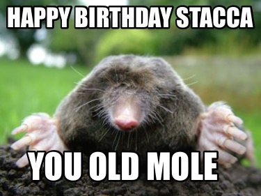 happy-birthday-stacca-you-old-mole4