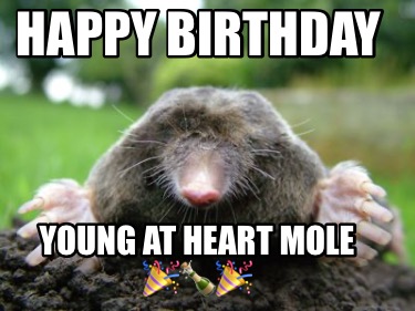 happy-birthday-young-at-heart-mole-