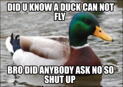 did-u-know-a-duck-can-not-fly-bro-did-anybody-ask-no-so-shut-up