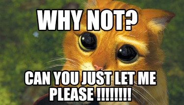 why-not-can-you-just-let-me-please-
