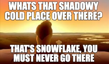 whats-that-shadowy-cold-place-over-there-thats-snowflake-you-must-never-go-there