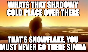 whats-that-shadowy-cold-place-over-there-thats-snowflake-you-must-never-go-there8