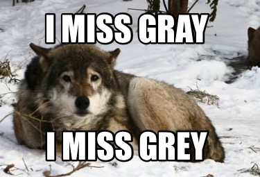i-miss-gray-i-miss-grey